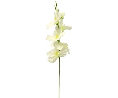 Baltas dirbtinis kardelis ant koto, 57 cm
