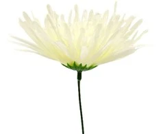 Dirbtinė gėlė adatinė chrizantemos žiedas, skersmuo 12,5 cm - Oranžinė