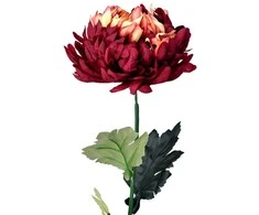 Dirbtinė gėlė chrizantema, 66 cm - Bordo