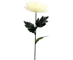 Dirbtinė gėlė chrizantema, 70 cm - Tamsiai raudona