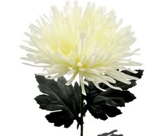 Dirbtinė gėlė chrizantema, 70 cm - Tamsiai raudona
