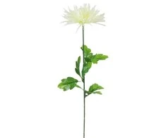 Dirbtinė gėlė chrizantema adatinė su koteliu, 60 cm - Geltona