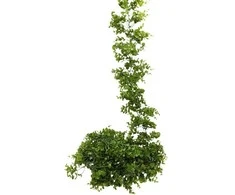 Dirbtinė gėlė girlianda Bukmedis, 180 cm