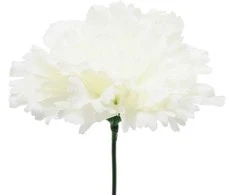 Dirbtinė gėlė gvazdiko žiedas - Balta