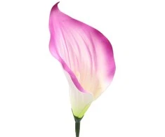 Dirbtinė gėlė kalijos žiedas, violetinis