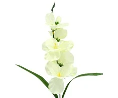 Dirbtinė gėlė kardelis, 55 cm - Baltai žalsva