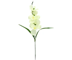 Dirbtinė gėlė kardelis, 55 cm - Baltai žalsva