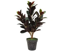 Dirbtinė gėlė-medis fikusas, 96 cm