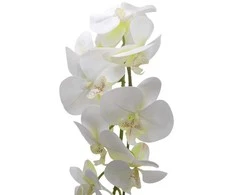 Dirbtinė gėlė orchidėja, 115 cm