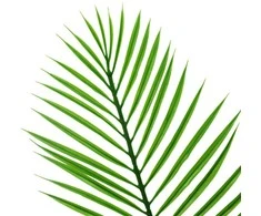 Dirbtinė gėlė palmės lapas, 52 cm