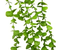 Dirbtinė gėlė vijoklinis Bukmedis, 115 cm