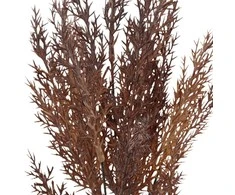 Dirbtinė kadagio puokštė, 38 cm - Violetinė