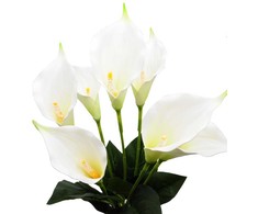 Dirbtinė kalijų puokštė, 58 cm