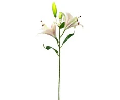 Dirbtinė kreminė lelijų šaka, 68 cm