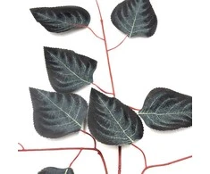 Dirbtinė lapų šaką, 70 cm