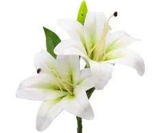 Dirbtinė lelijų šaka, 33 cm - Kreminė