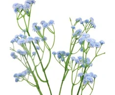 Dirbtinė mėlyna gubojos šaka, 60 cm