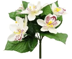 Dirbtinė orchidėjų puokštė, 27 cm - Balta