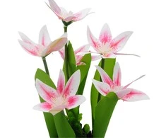 Dirbtinė orchidėjų puokštė, 30 cm - Rožinė
