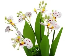 Dirbtinė orchidėjų puokštė, 32 cm