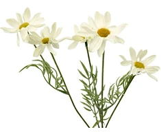 Dirbtinė ramunės šaka, 50 cm