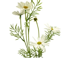 Dirbtinė ramunės šaka, 70 cm
