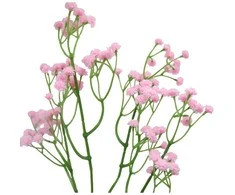 Dirbtinė rožinė gubojos šaka, 60 cm