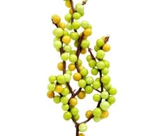 Dirbtinė šakelė šaltalankių, 23 cm