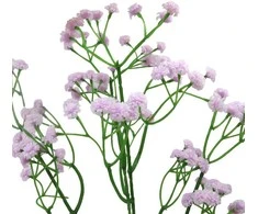 Dirbtinė violetinė gubojos šaka, 60 cm