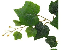 Dirbtinė vynuogės lapų šaką, 67 cm