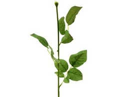 Dirbtinės rožės kotas su lapais, 60 cm