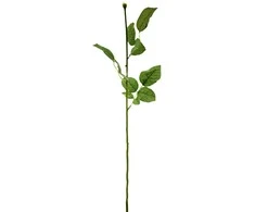Dirbtinės rožės kotas su lapais, 60 cm