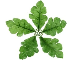 Dirbtiniai lapeliai puokštėms
