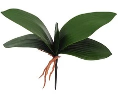 Dirbtiniai orchidėjos lapai, 25 cm