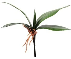 Dirbtiniai orchidėjos lapai, 25 cm