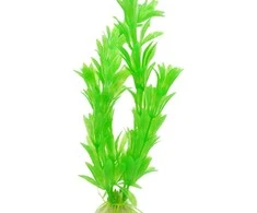 Dirbtinis akvariumo augalas