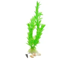 Dirbtinis akvariumo augalas