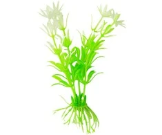 Dirbtinis akvariumo augalas