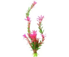 Dirbtinis akvariumo augalas