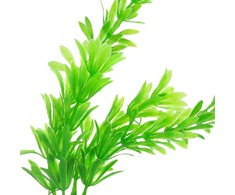 Dirbtinis akvariumo augalas