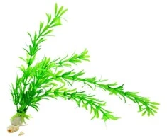 Dirbtinis akvariumo augalas