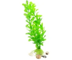 Dirbtinis akvariumo augalas
