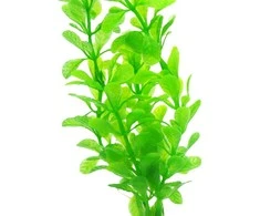 Dirbtinis akvariumo augalas