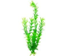Dirbtinis akvariumo augalas