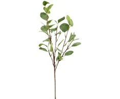 Dirbtinis eukalipto šaka su lapais, 62 cm