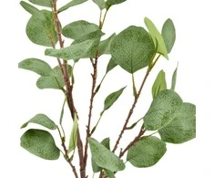 Dirbtinis eukalipto šaka su lapais, 62 cm