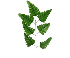 Dirbtinis paparčio lapas, 44 cm