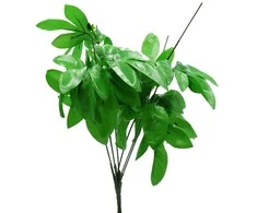 Dirbtinis pinavijos kotas, 50 cm