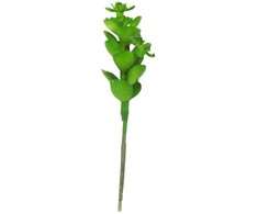 Dirbtinis sukulentas