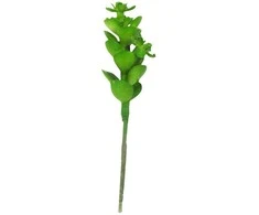 Dirbtinis sukulentas